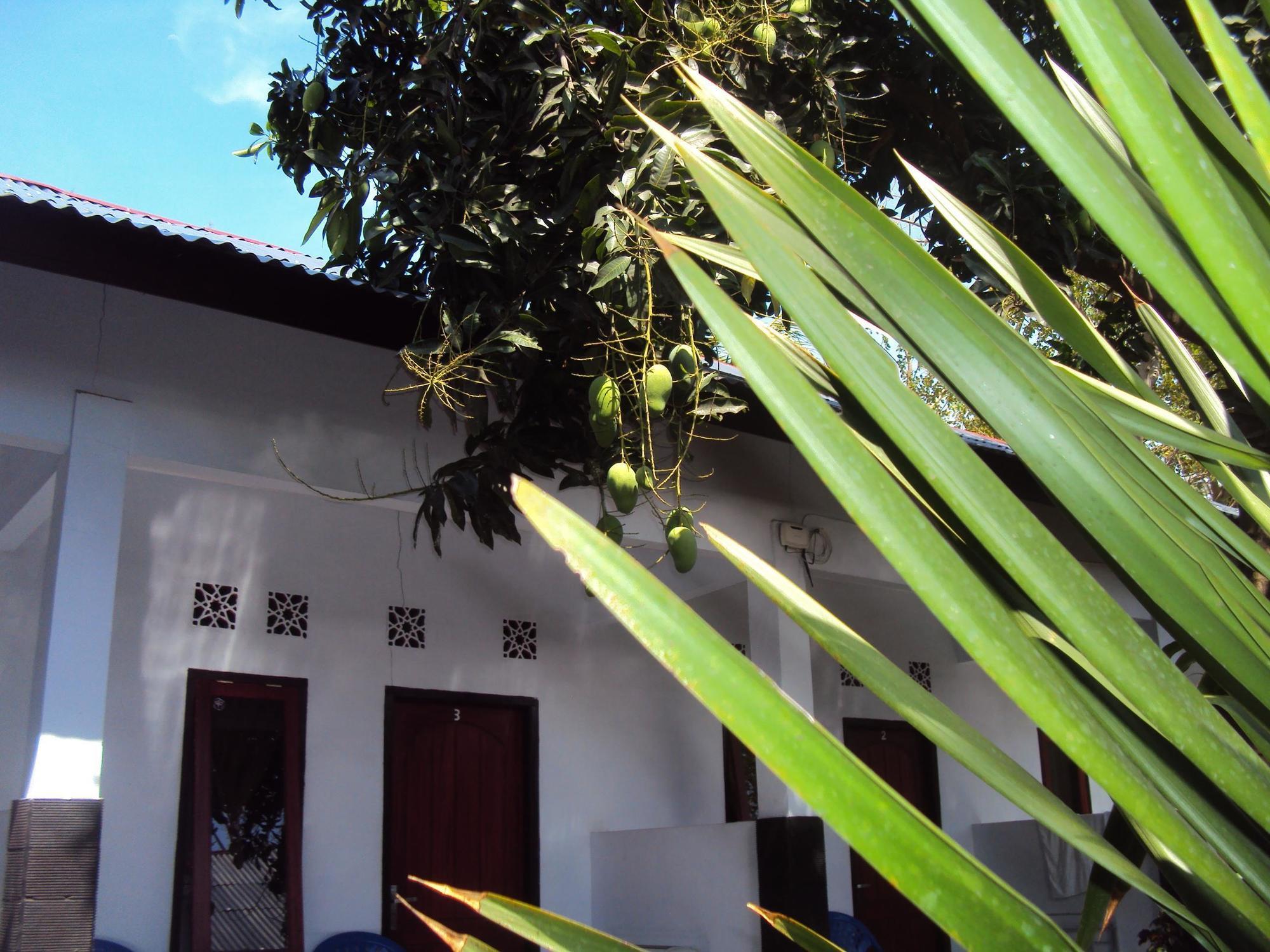 Hotel Banana Leaf Bungalow Gili Trawangan Exterior foto